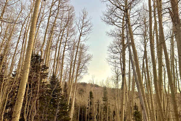 Sugar Loaf Mountain