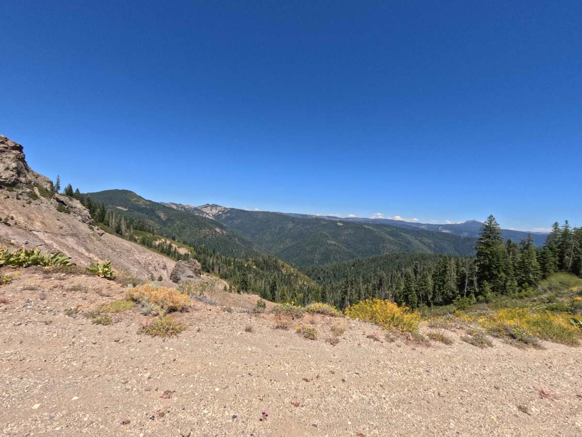 Fir Cap Road photo 4
