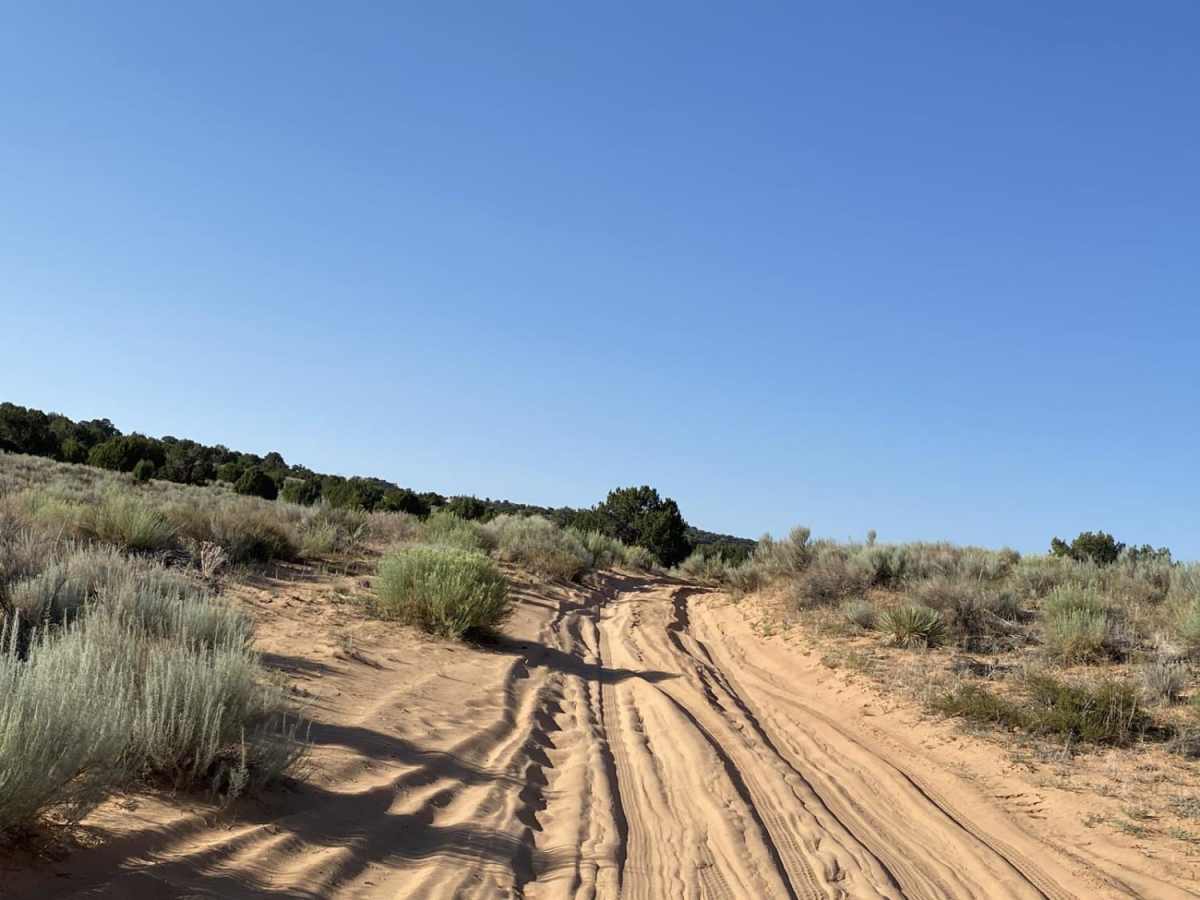 White Pocket Road photo 4