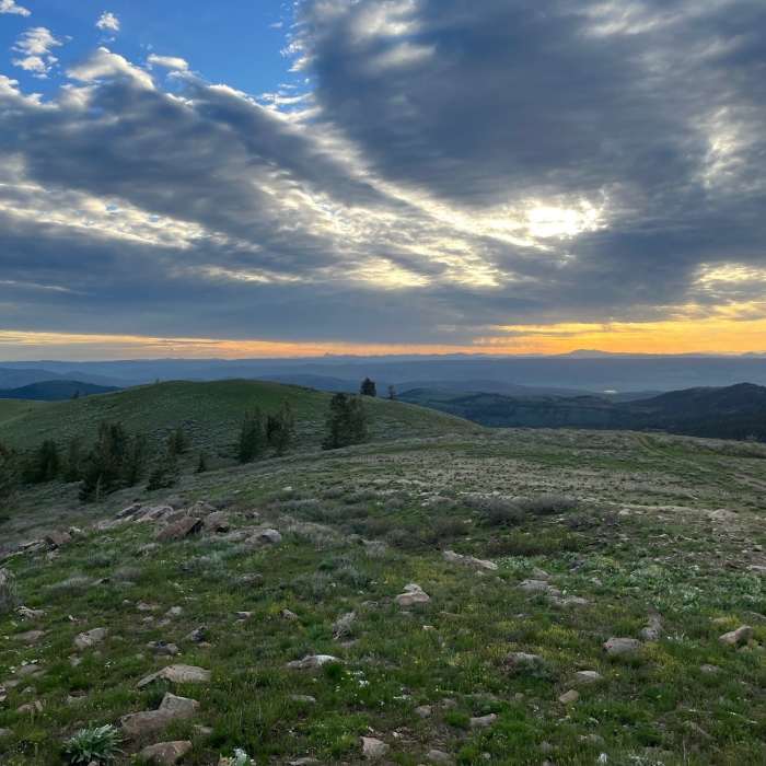 Near Inkom Pass Loop #242