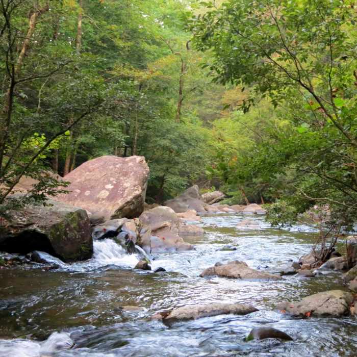 Near Emery Creek Trail