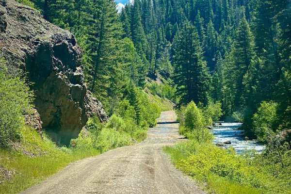 Lower Section of East Fork San Juan River Rd-Fr 667