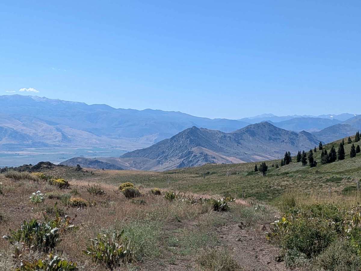 Virgil Connell Loop Road - FS 32087 photo 2