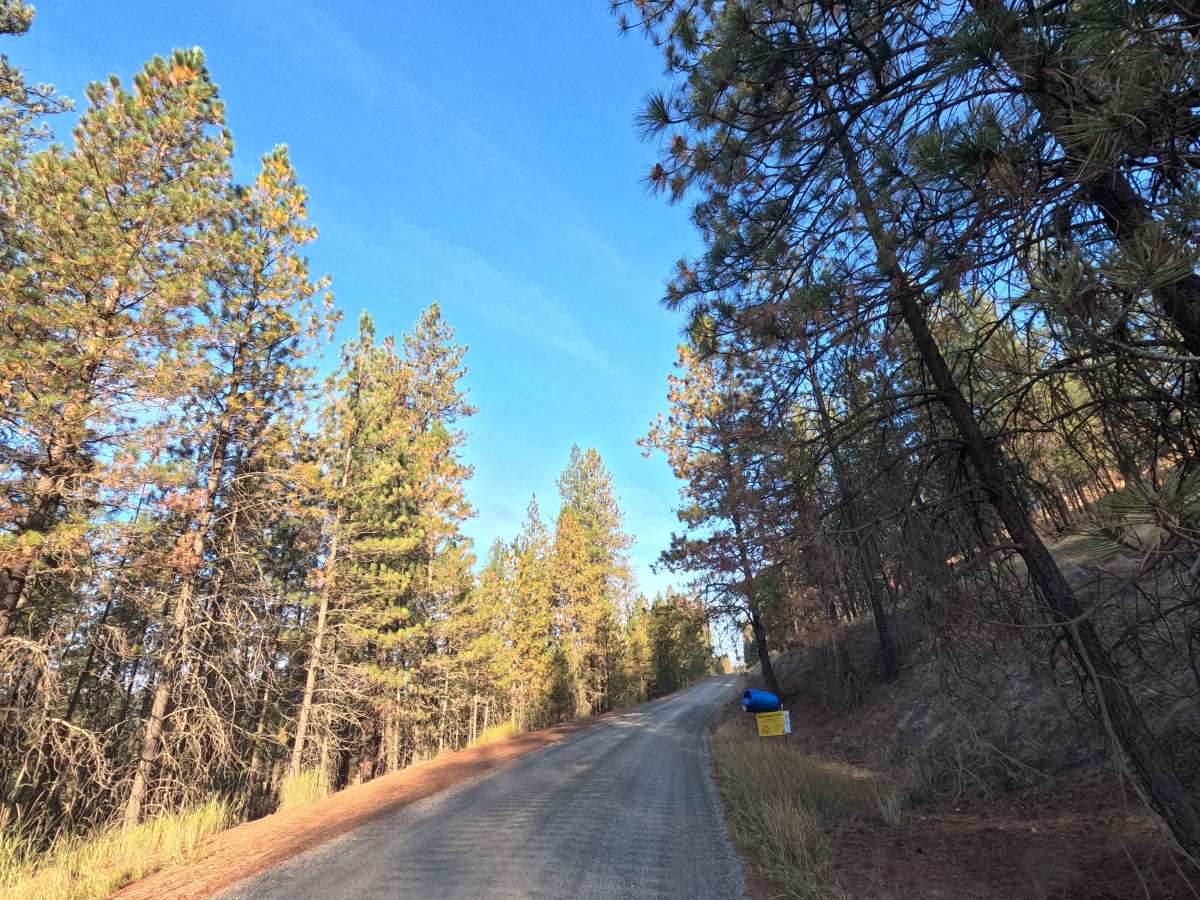 Bear Creek Road photo 4