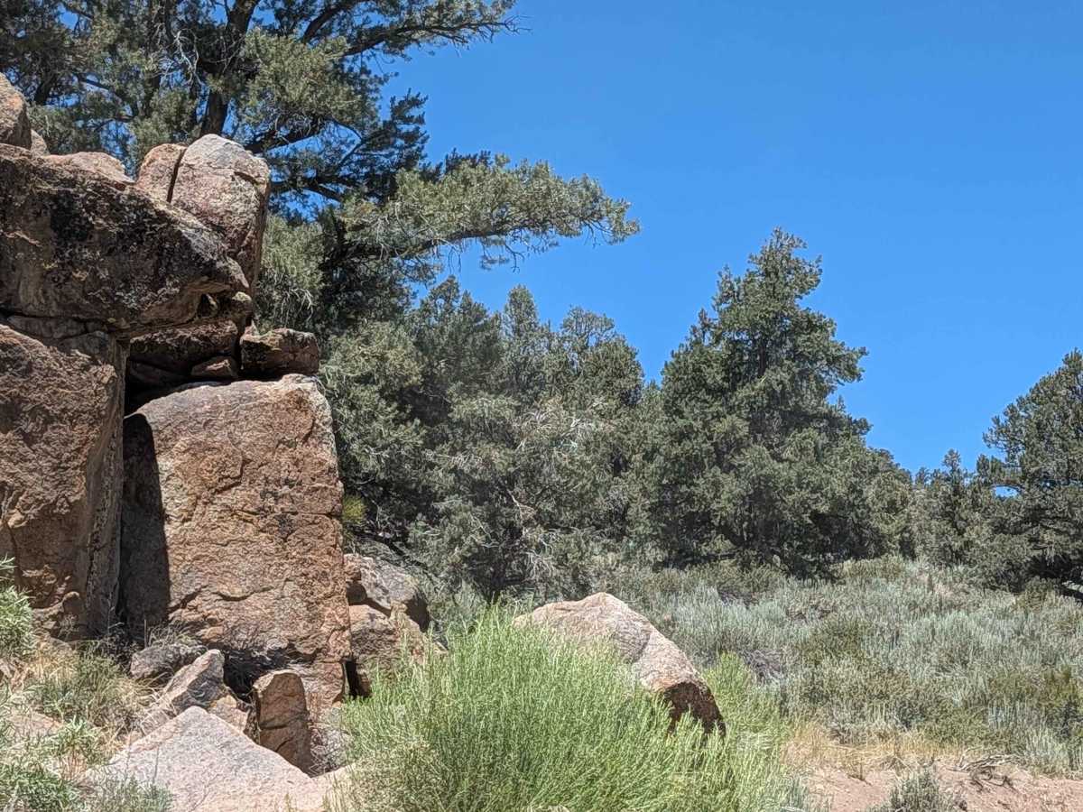 Deer Springs Road photo 6