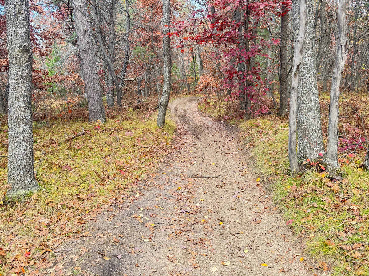 Ambrose Lake to Rose City Trail photo 3