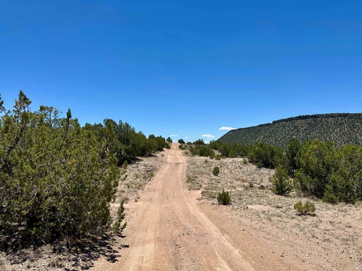 El Camino Real Alternate Pass trail photo