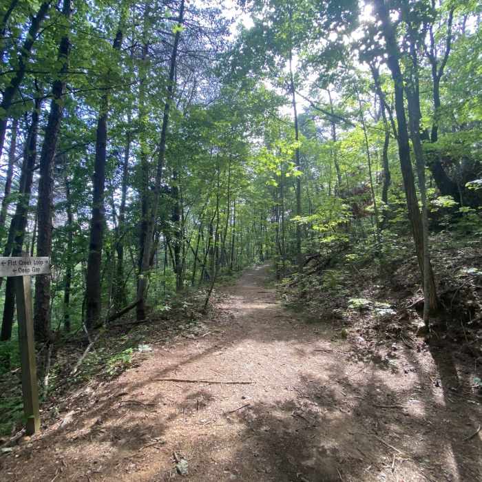 Near Flat Creek Loop #165B