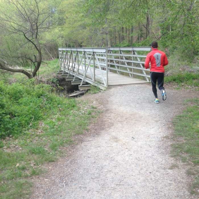 Near Ronald Craven Trail