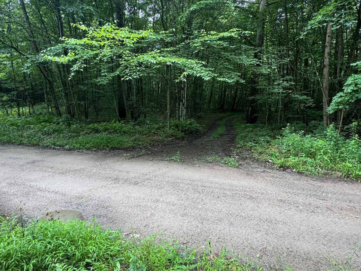 Trail 13 photo 6