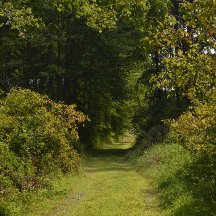 The trail from the woods to the meadow at Crow's Nest Preserve. Near St Peters Big Run