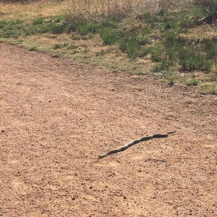Near Monument Valley Park Loop