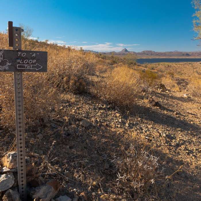 Near Rattlesnake Overlook