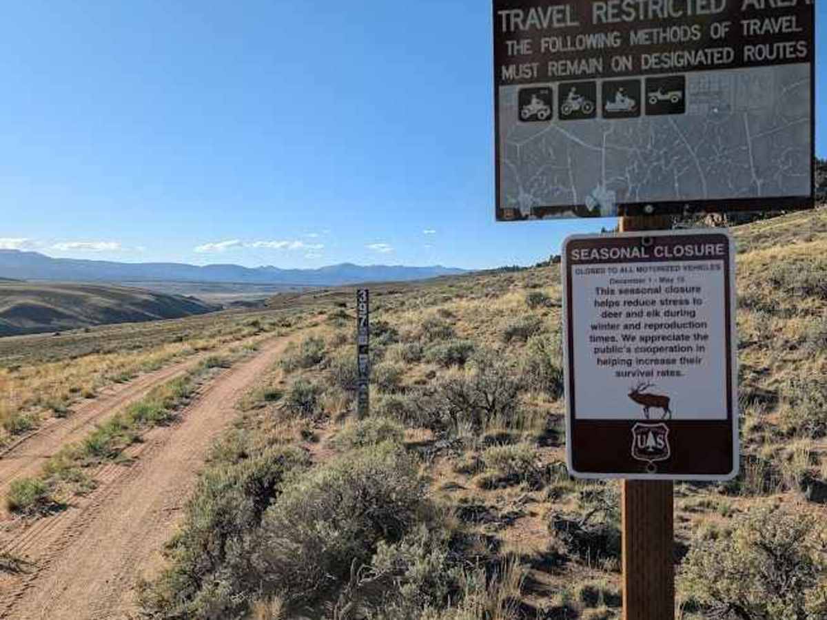 Two Bit Road trail photo