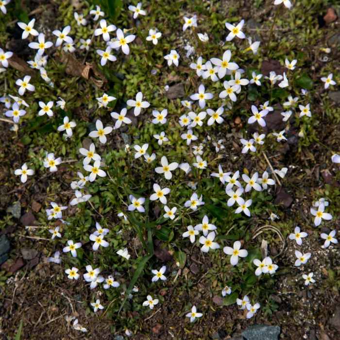 Near Tank Hollow Trail Near Tank Hollow Trail