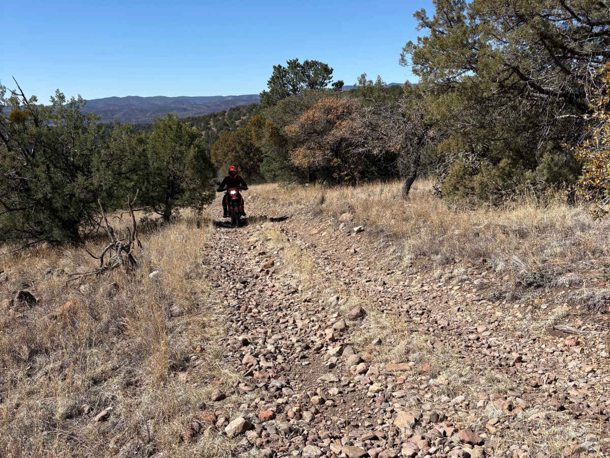 Hay Mesa - Trail 976  photo 6