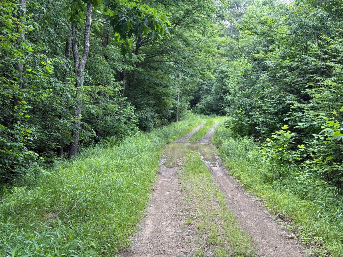 Coon Run 2 - FS 327-2 photo 5