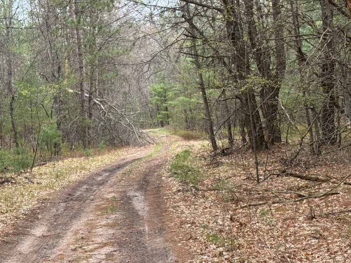 Saunter Trail photo 6