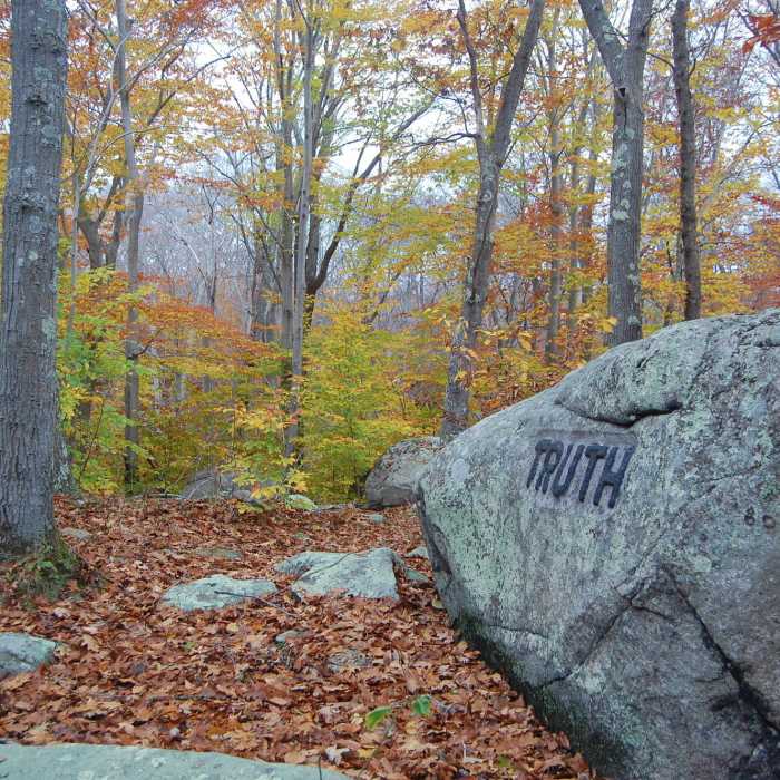 Dogtown Commons Near Dogtown Loop