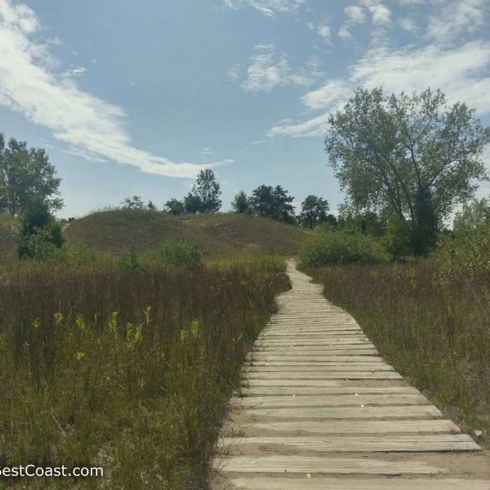 The Kohler Dunes Cordwalk as it stretches across grassy sand dunes. Near Kohler Dunes Cordwalk