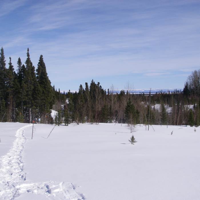 Intersection of Snowshoe trails E3 and E2 with Aspen Lookout to the right. Near Snowshoe Route #2