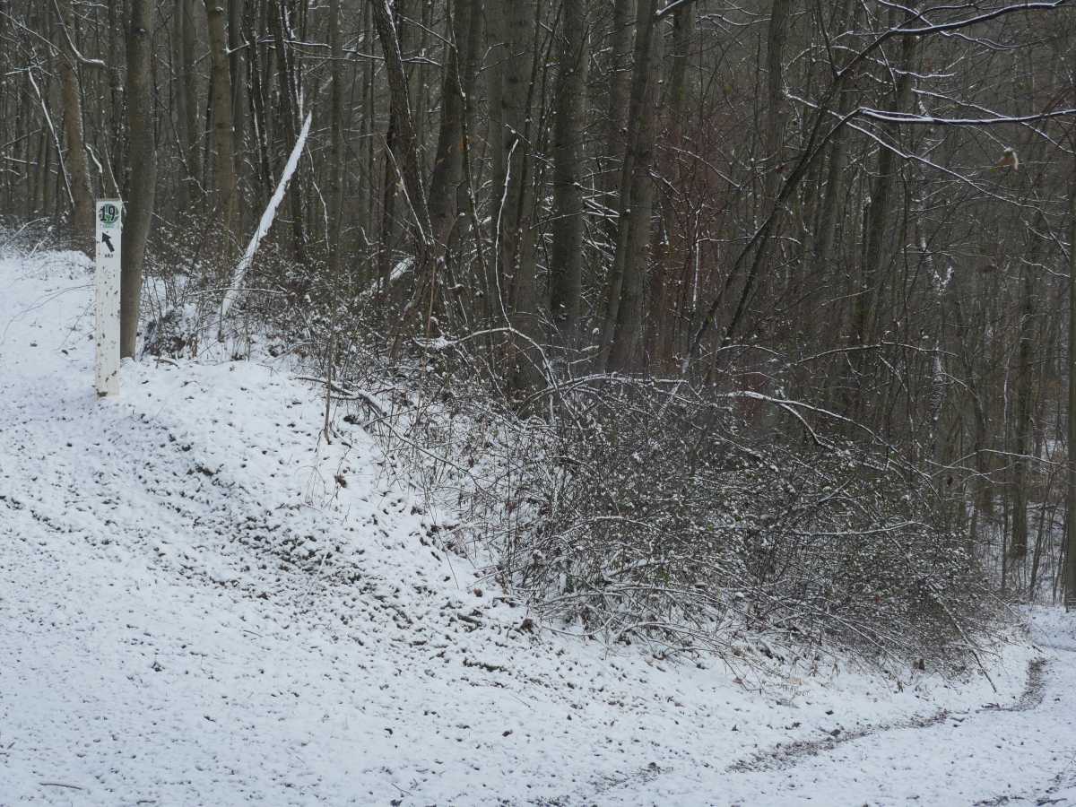 Trail 29 photo 3