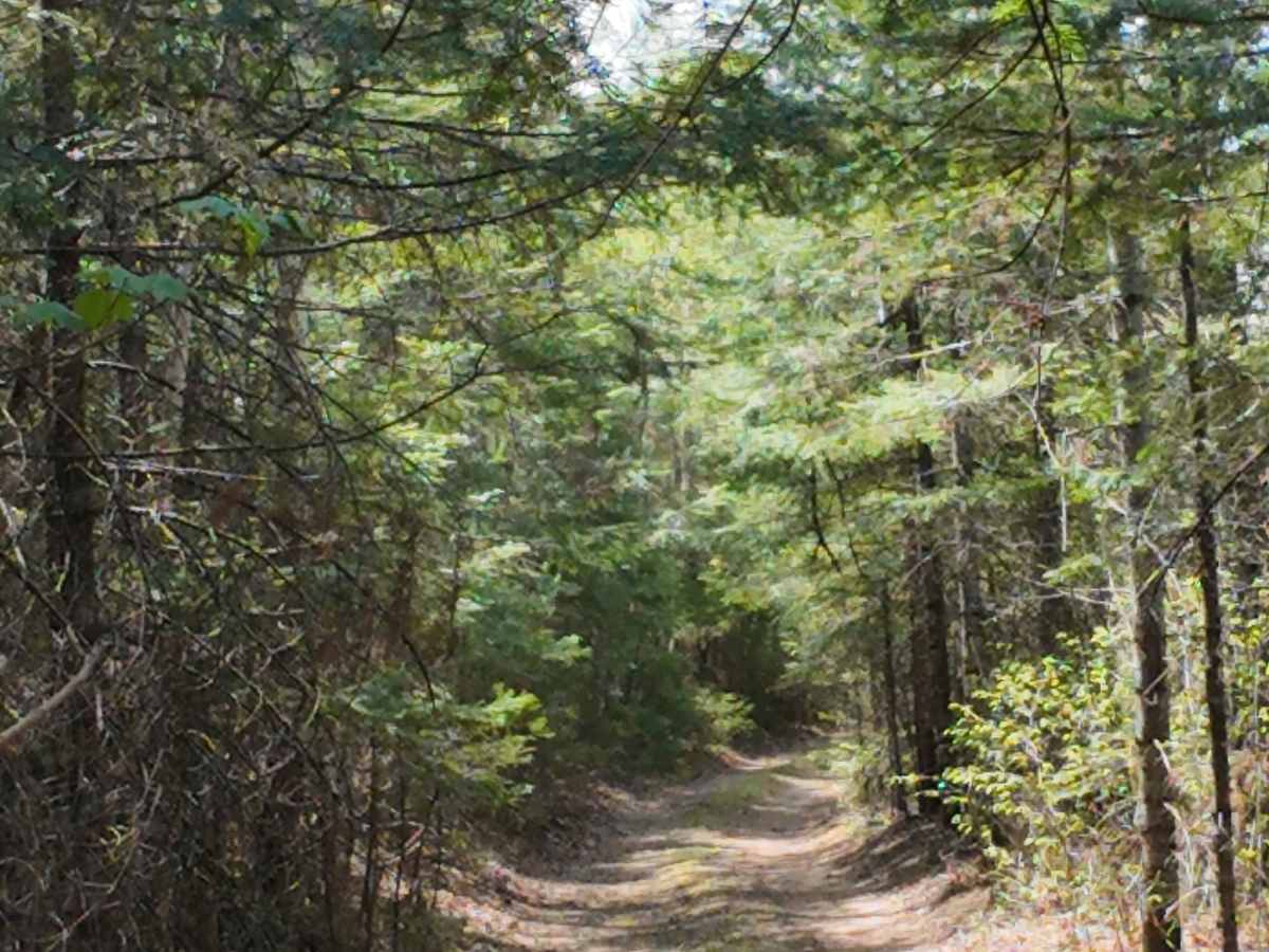 Finger Lake Spur photo 4