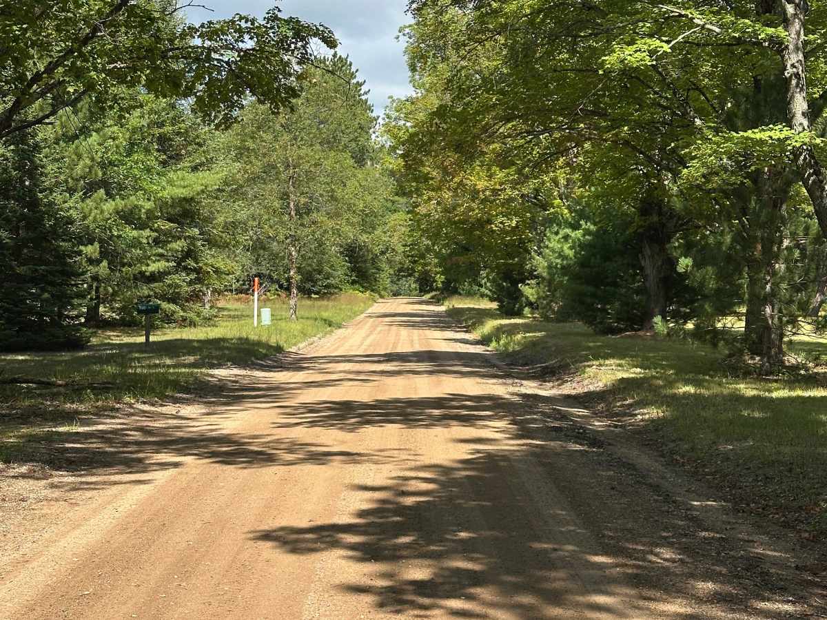 Dolph Road trail photo