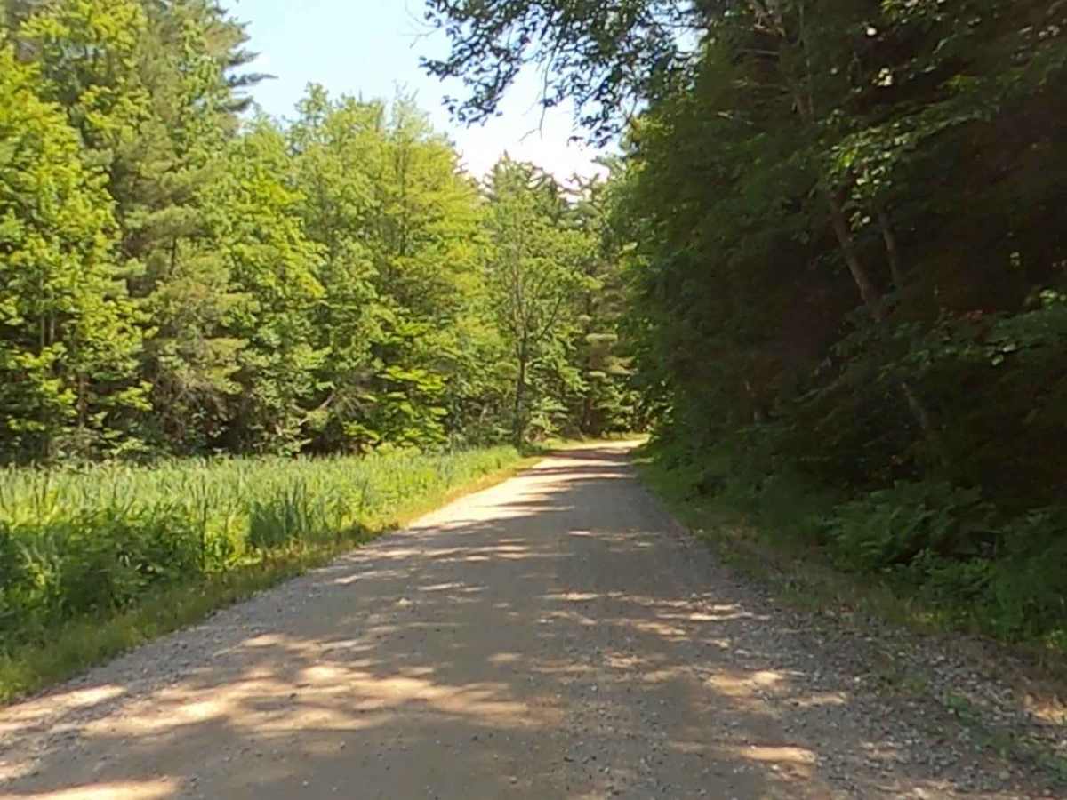 Goose Pond Road trail photo