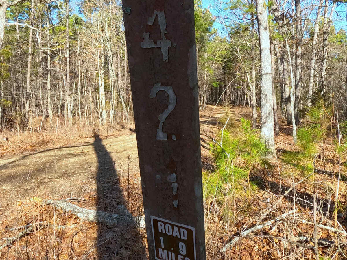 Peas Hollow - FS 421 photo 3