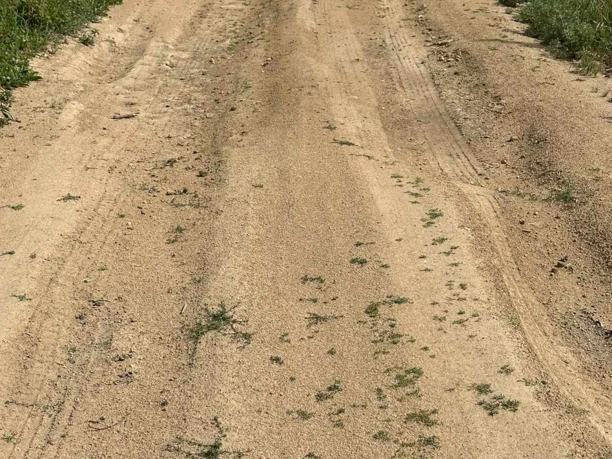 BLM Route 2764 photo 4
