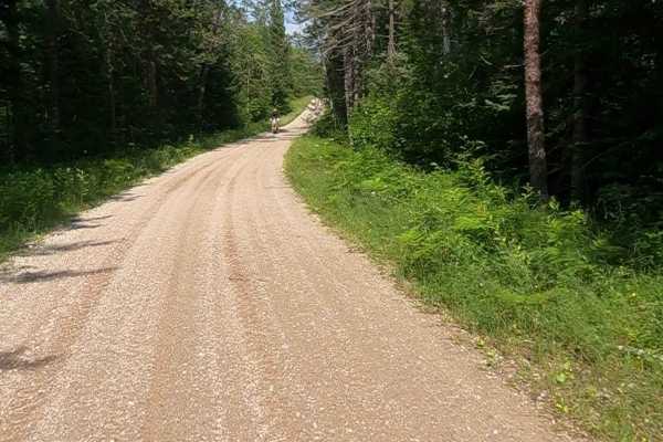 Ensign Road - FSR 2235