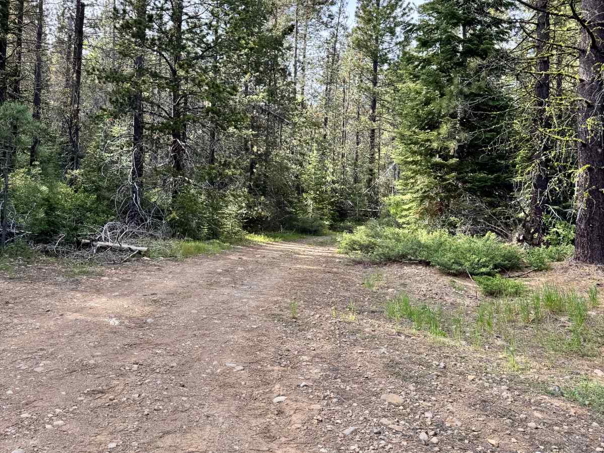 West Ruffa - FS 27N93 trail photo
