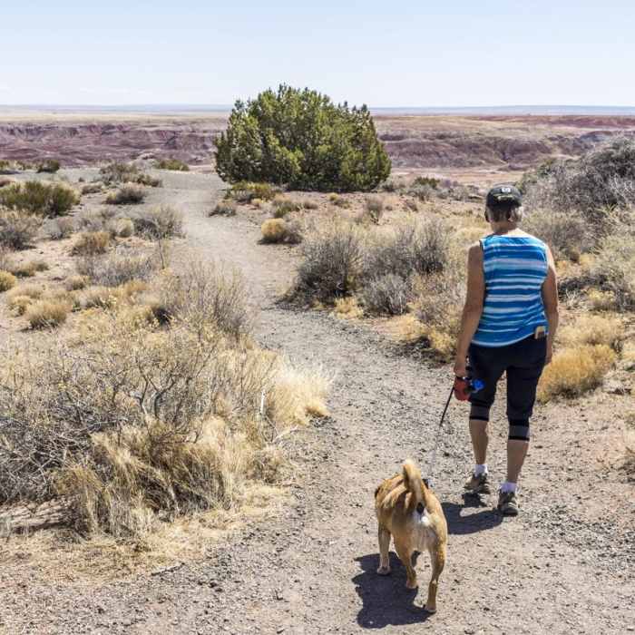 Near Painted Desert Rim Trail Near Painted Desert Rim Trail