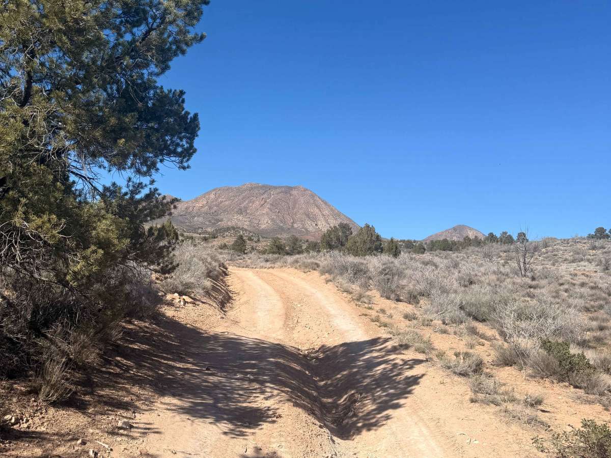 Cole Spring Ridge photo 4