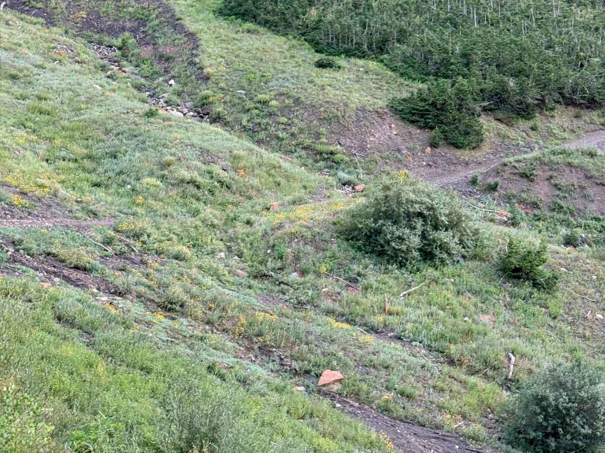 Mineral Fork Road photo 5