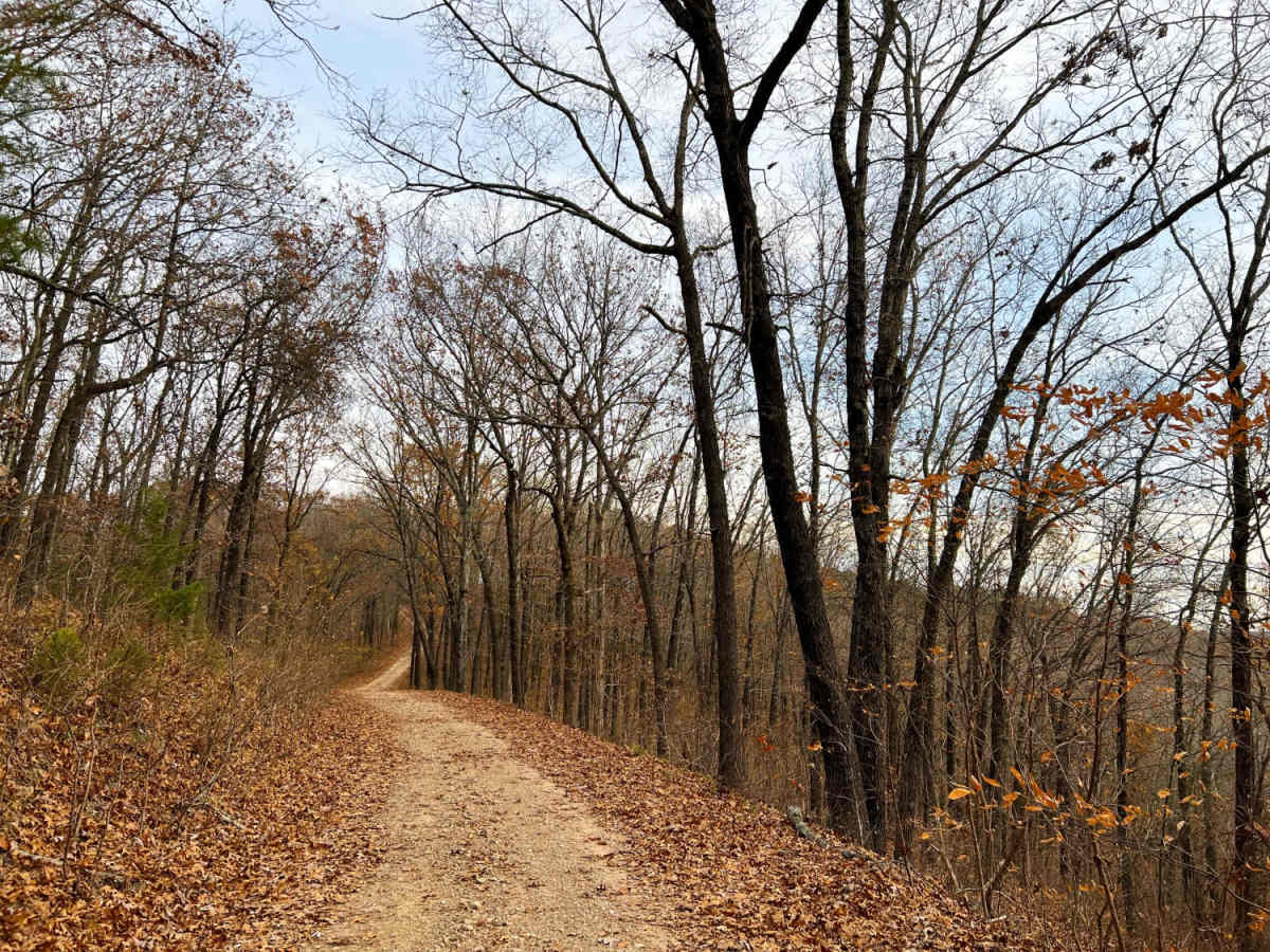 Mary Cole Ridge photo 3