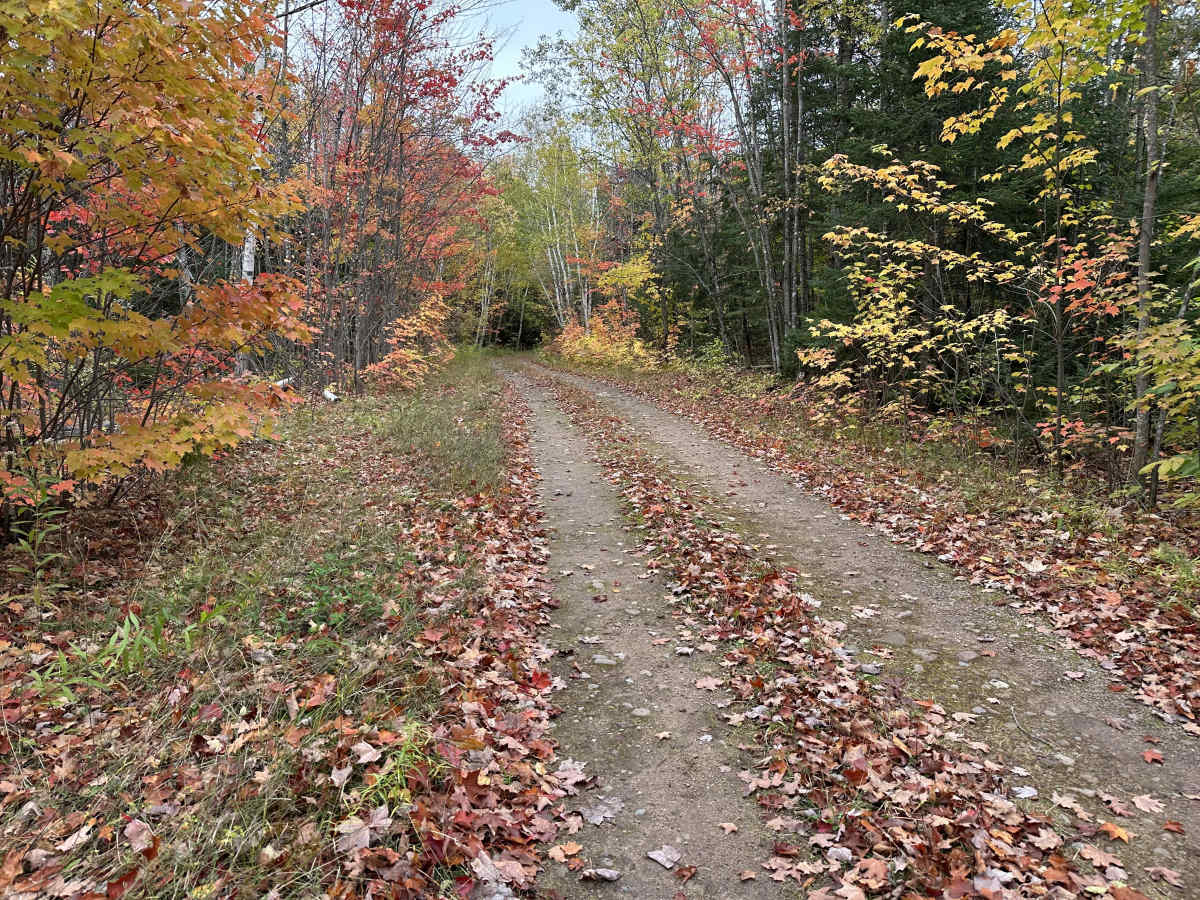 Camp Four Trail photo 2