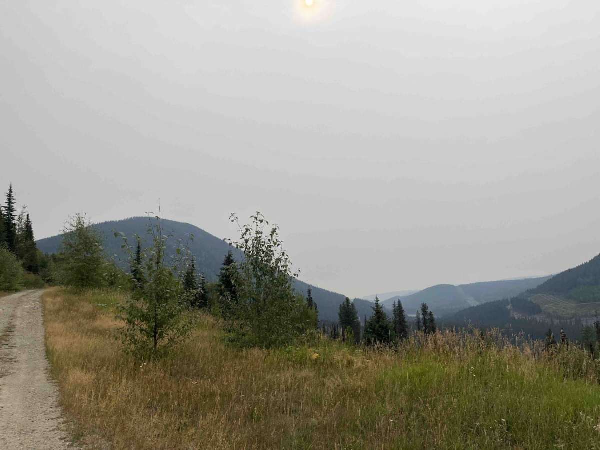 Eureka Road photo 5