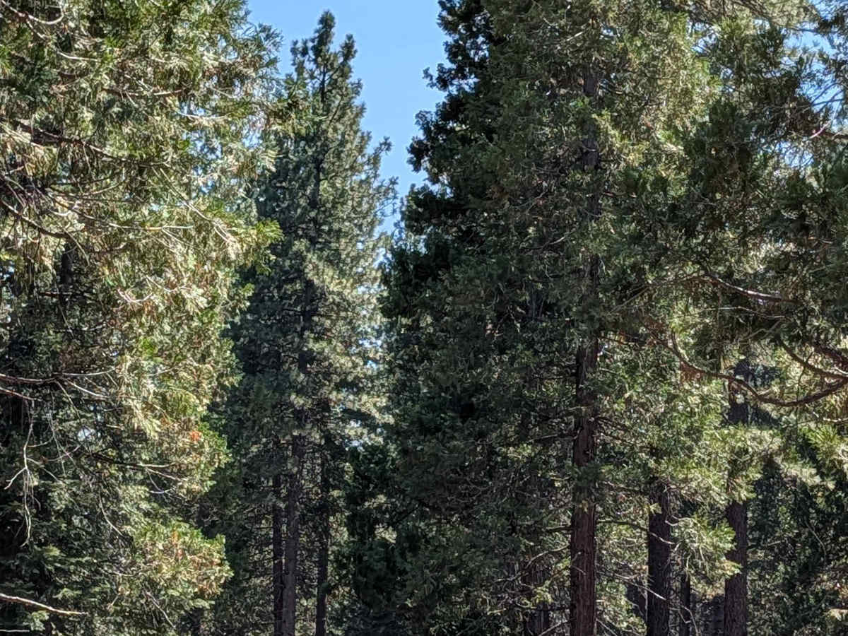West Lava Rim - FS 40N93Y photo 4