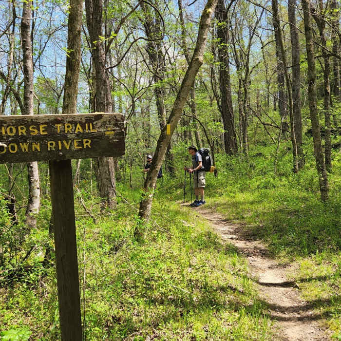 Old River Trail near entrance of Camp Orr Near Twin Falls Trail