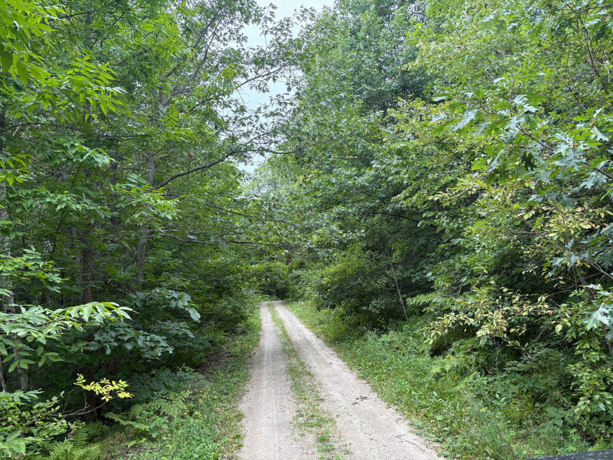 Heart Lake Trail trail photo