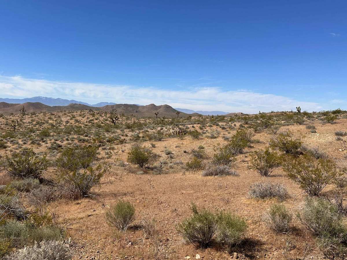 Alkali Flats trail photo