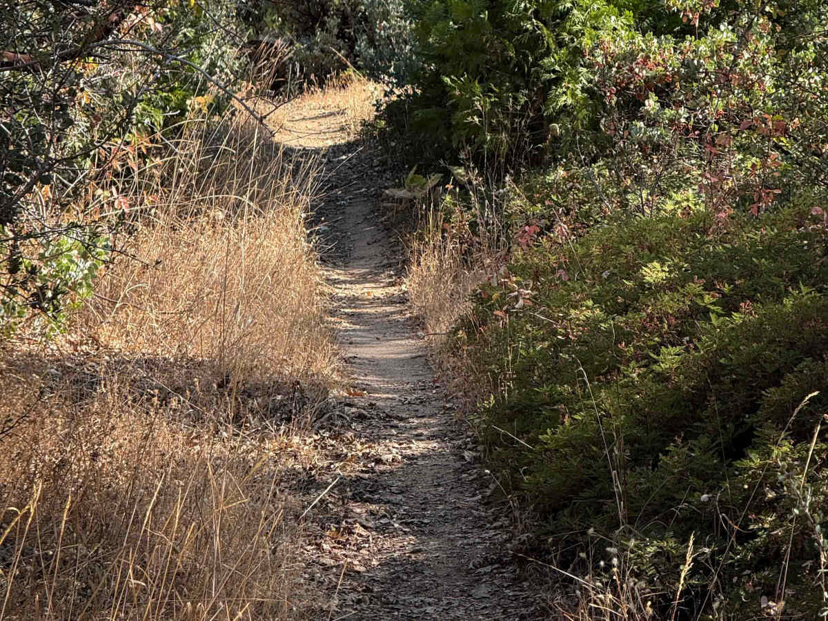 21E201 trail photo