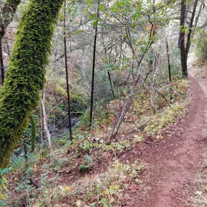 Near Stagecoach Trail #36