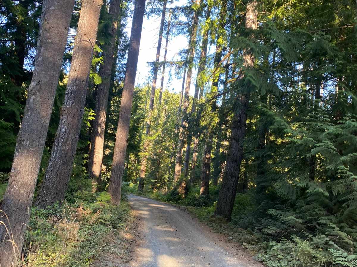 Big Bay Recreation Site photo 2