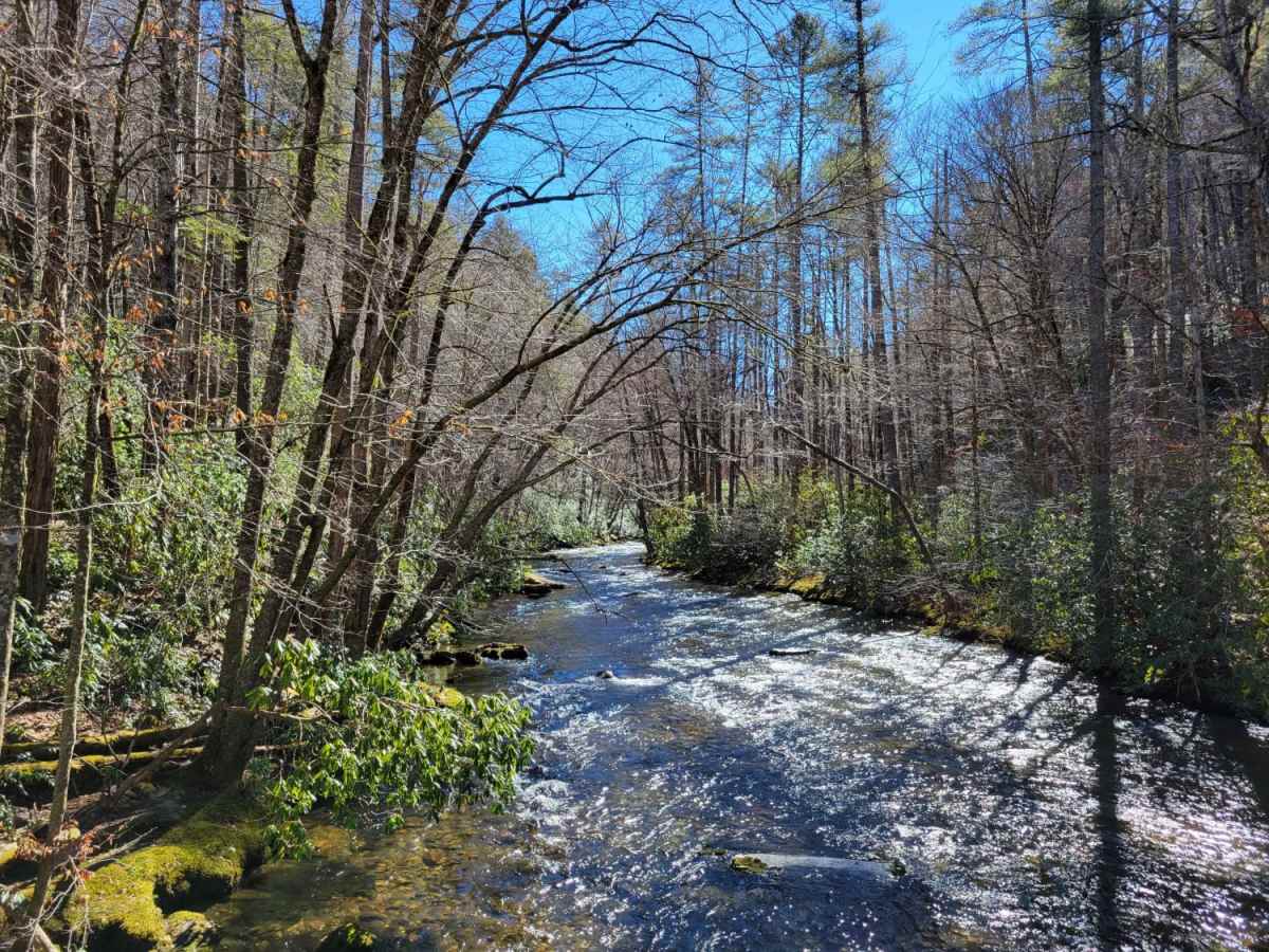 Cataloochee Turnpike to Big Creek photo 3