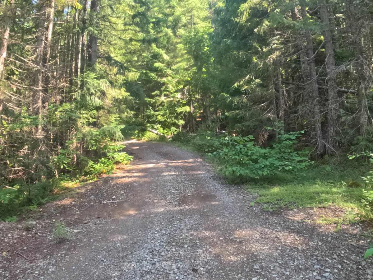 Presley Lake - FS 2257515 photo 4