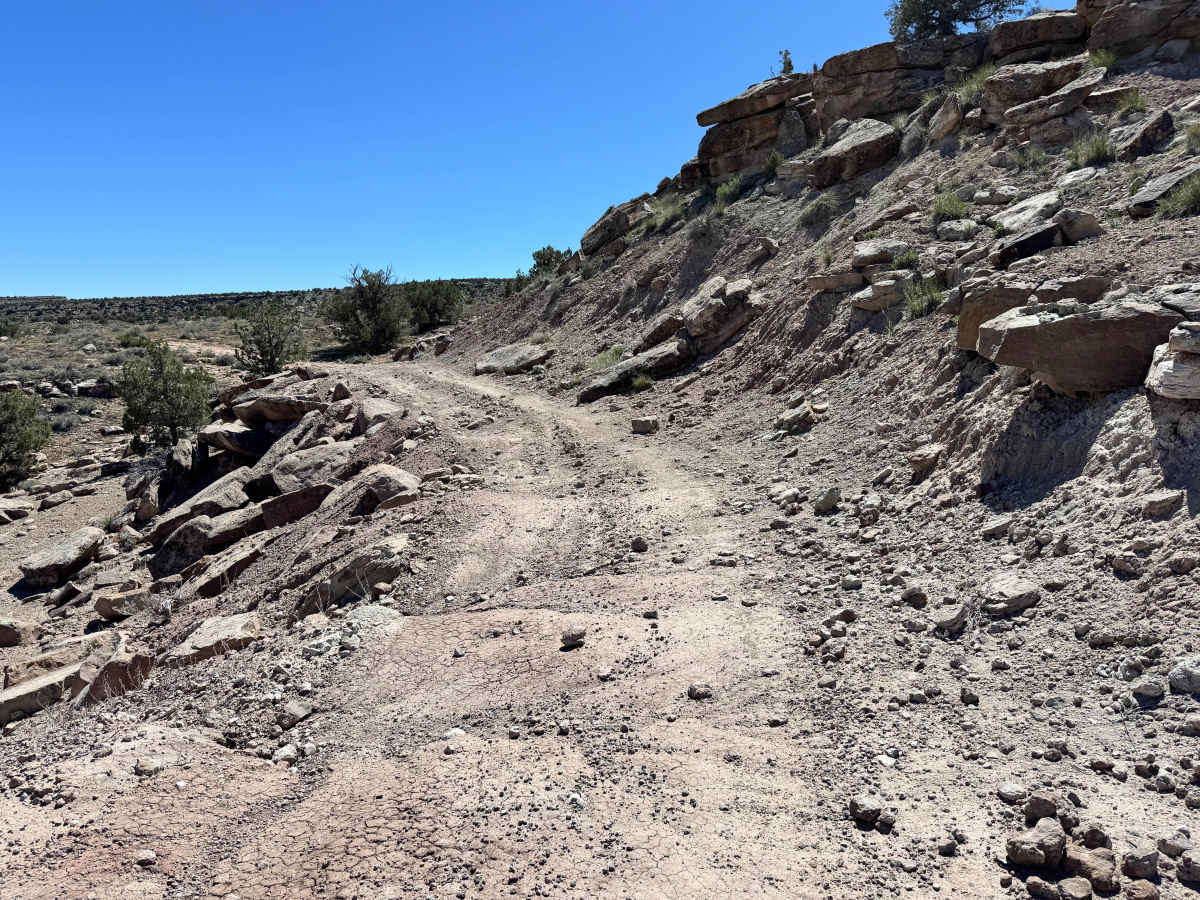 Yellow Jacket Canyon photo 4