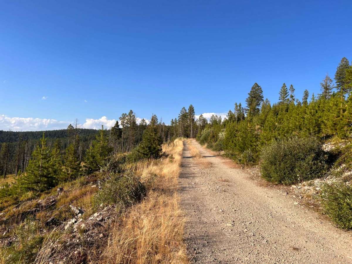 High Road photo 4